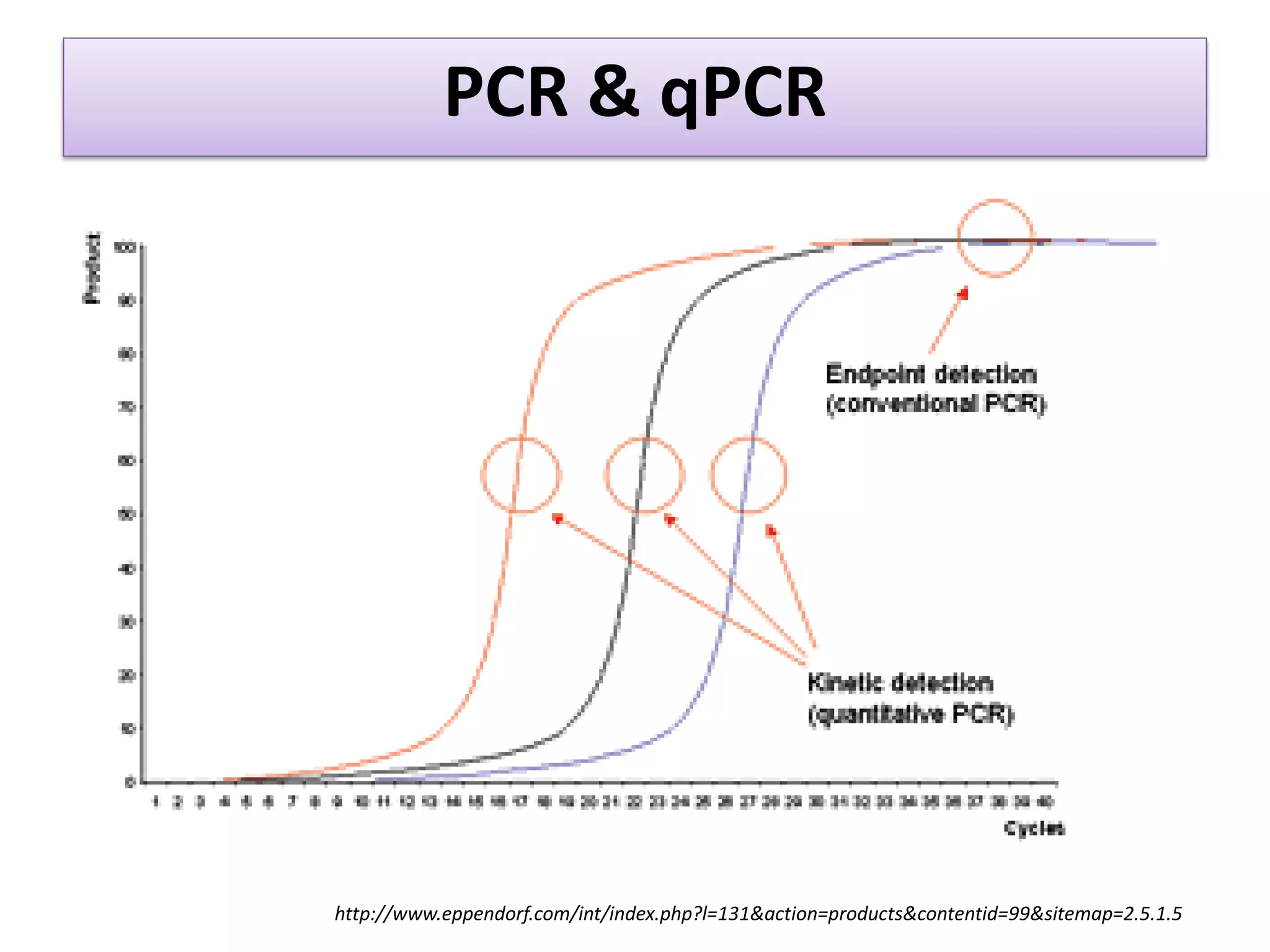 PCR & qPCR 
http://www.eppendorf.com/int/index.php?l=131&action=products&contentid=99&sitemap=2.5.1.5  