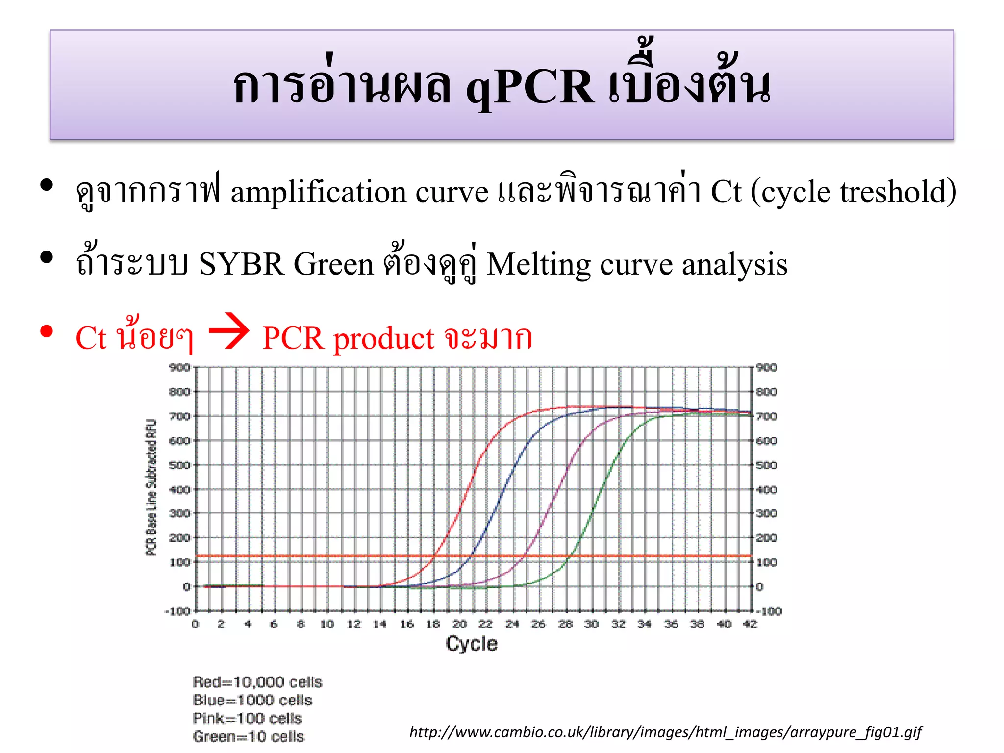 กำรอ่ำนผล qPCR เบื้องต้น 
•ดูจากกราฟ amplification curve และพิจารณาค่า Ct (cycle treshold) 
•ถ้าระบบ SYBR Green ต้องดูคู่ Melting curve analysis 
•Ct น้อยๆ  PCR product จะมาก 
http://www.cambio.co.uk/library/images/html_images/arraypure_fig01.gif  