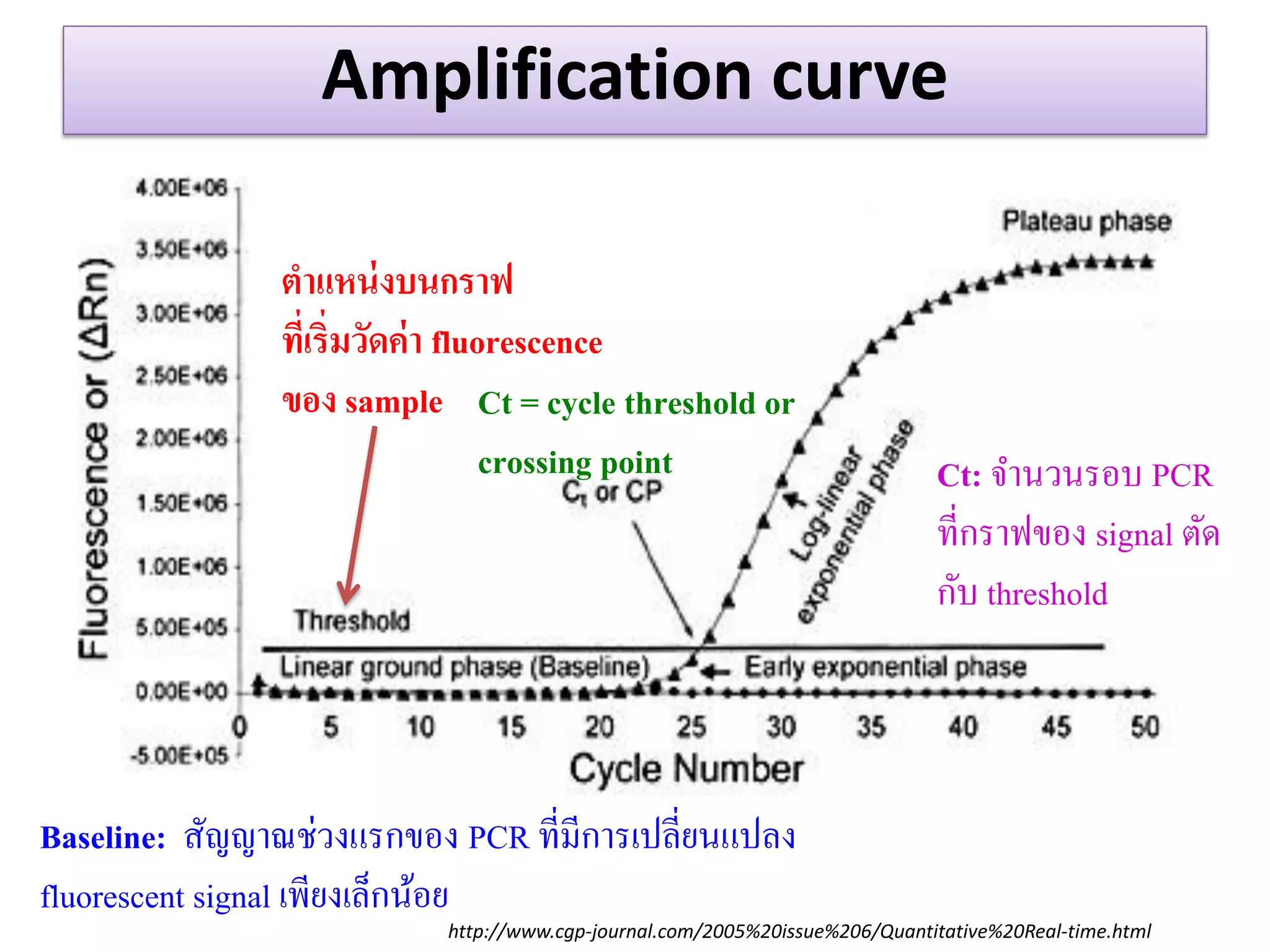 Amplification curve 
http://www.cgp-journal.com/2005%20issue%206/Quantitative%20Real-time.html 
ตำแหน่งบนกรำฟ 
ที่เริ่มวัดค่ำ fluorescence 
ของ sample 
Baseline: สัญญาณช่วงแรกของ PCR ที่มีการเปลี่ยนแปลง 
fluorescent signal เพียงเล็กน้อย 
Ct = cycle threshold or 
crossing point 
Ct: จานวนรอบ PCR 
ที่กราฟของ signal ตัด 
กับ threshold  