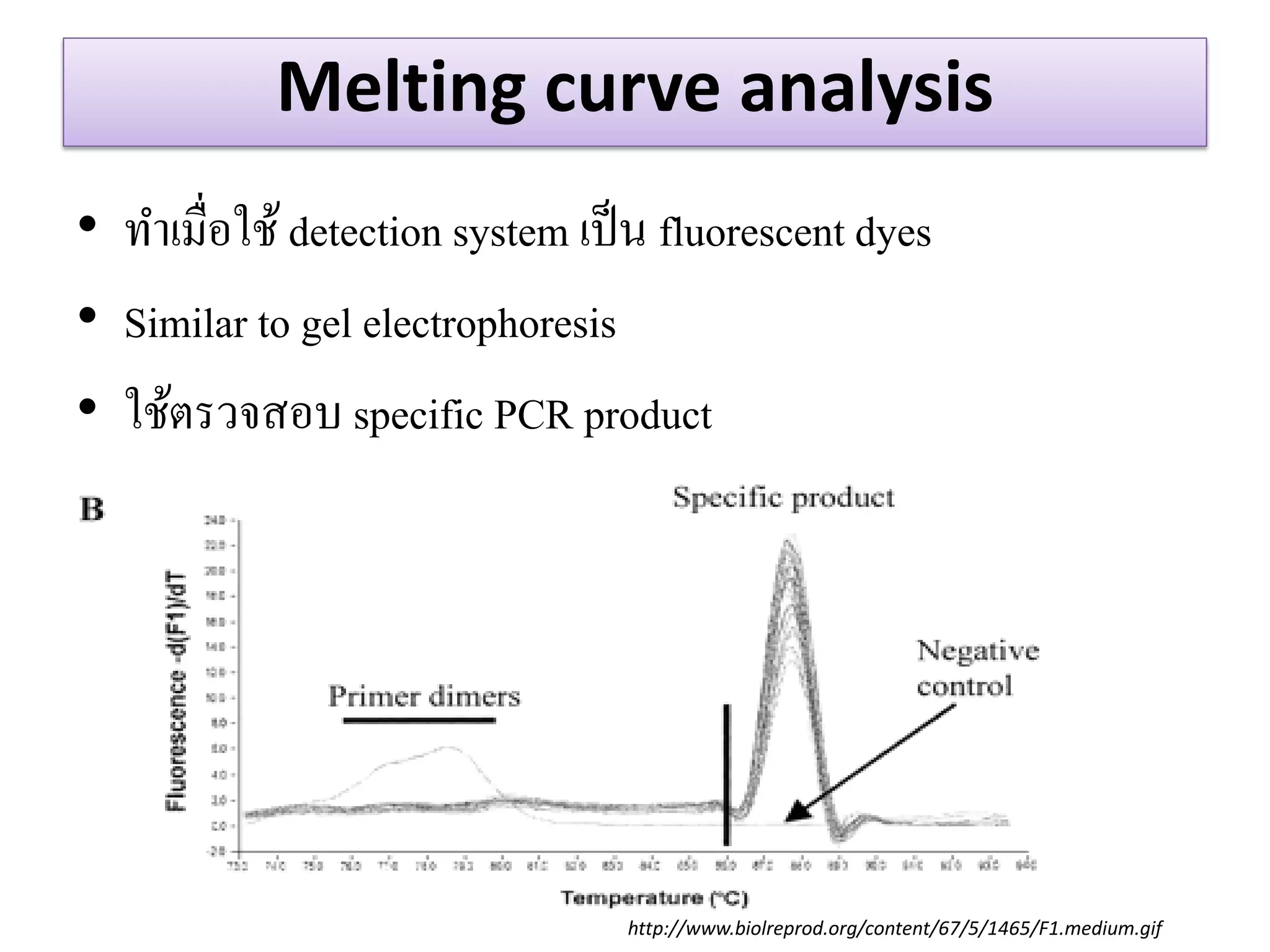 Melting curve analysis 
•ทาเมื่อใช้ detection system เป็น fluorescent dyes 
•Similar to gel electrophoresis 
•ใช้ตรวจสอบ specific PCR product 
http://www.biolreprod.org/content/67/5/1465/F1.medium.gif  