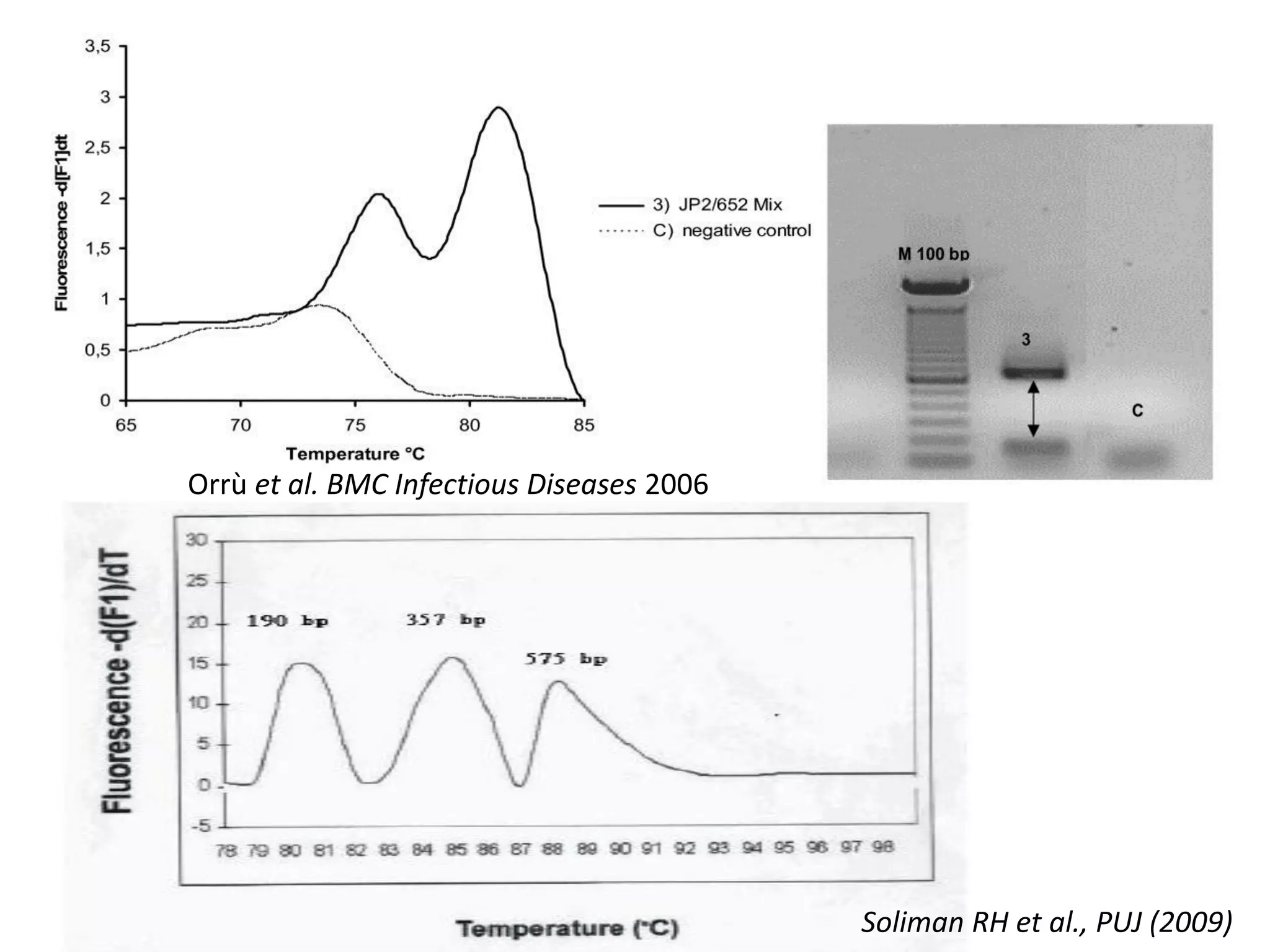 Soliman RH et al., PUJ (2009) 
Orrù et al. BMC Infectious Diseases 2006  