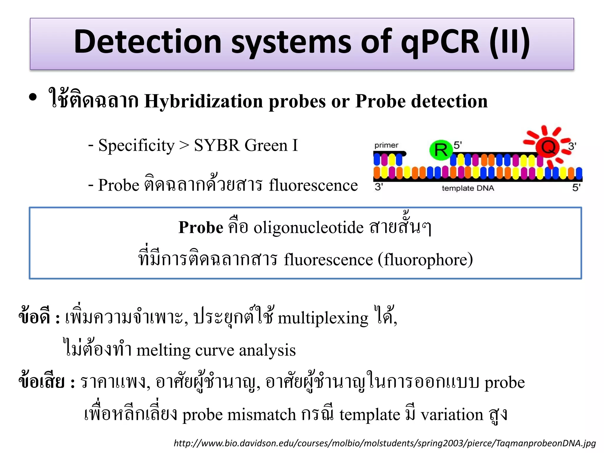 Detection systems of qPCR (II) 
•ใช้ติดฉลาก Hybridization probes or Probe detection 
- Specificity > SYBR Green I 
- Probe ติดฉลากด้วยสาร fluorescence 
Probe คือ oligonucleotide สายสั้นๆ 
ที่มีการติดฉลากสาร fluorescence (fluorophore) 
http://www.bio.davidson.edu/courses/molbio/molstudents/spring2003/pierce/TaqmanprobeonDNA.jpg 
ข้อดี : เพิ่มความจาเพาะ, ประยุกต์ใช้ multiplexing ได้, 
ไม่ต้องทา melting curve analysis 
ข้อเสีย : ราคาแพง, อาศัยผู้ชานาญ, อาศัยผู้ชานาญในการออกแบบ probe 
เพื่อหลีกเลี่ยง probe mismatch กรณี template มี variation สูง  