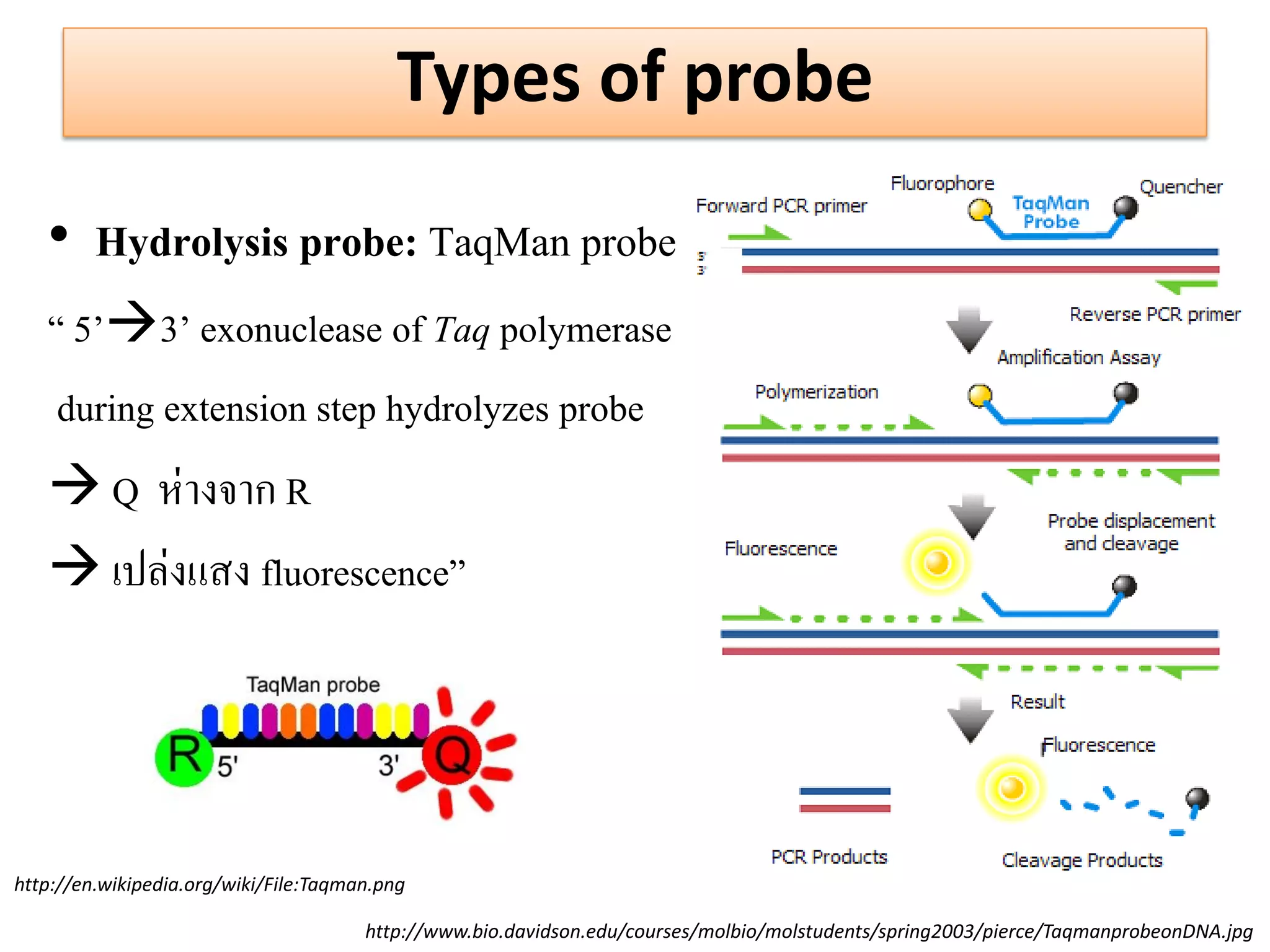 Types of probe 
•Hydrolysis probe: TaqMan probe 
“ 5’3’ exonuclease of Taq polymerase 
during extension step hydrolyzes probe 
 Q ห่างจาก R 
 เปล่งแสง fluorescence” 
http://www.bio.davidson.edu/courses/molbio/molstudents/spring2003/pierce/TaqmanprobeonDNA.jpg 
http://en.wikipedia.org/wiki/File:Taqman.png  