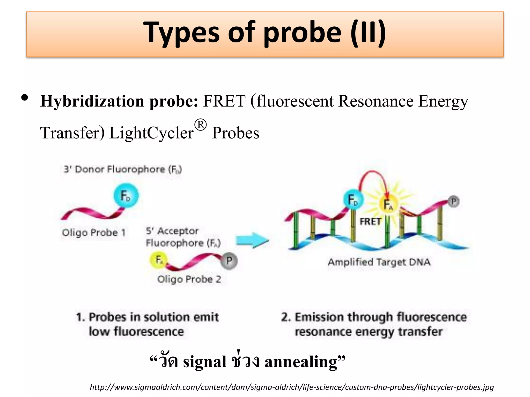 Types of probe (II) 
•Hybridization probe: FRET (fluorescent Resonance Energy Transfer) LightCycler Probes 
http://www.sigmaaldrich.com/content/dam/sigma-aldrich/life-science/custom-dna-probes/lightcycler-probes.jpg 
“วัด signal ช่วง annealing”  