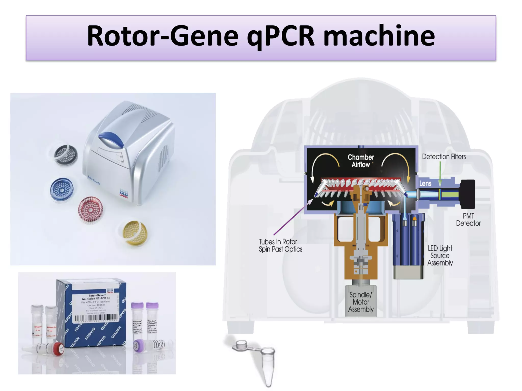 Rotor-Gene qPCR machine  