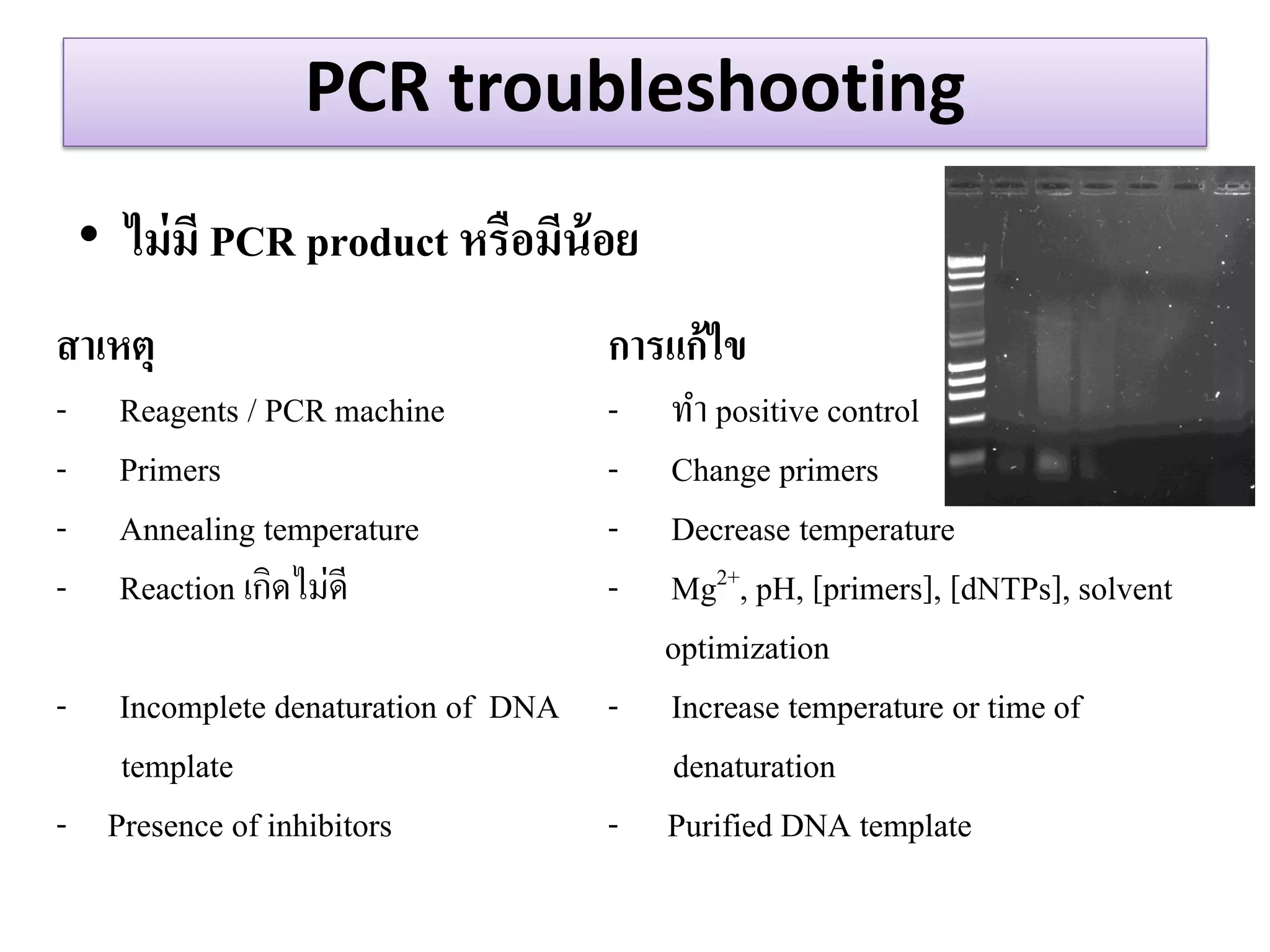 PCR troubleshooting 
•ไม่มี PCR product หรือมีน้อย 
สำเหตุ 
-Reagents / PCR machine 
-Primers 
-Annealing temperature 
-Reaction เกิดไม่ดี 
-Incomplete denaturation of DNA template - Presence of inhibitors 
กำรแก้ไข 
-ทา positive control 
-Change primers 
-Decrease temperature 
-Mg2+, pH, [primers], [dNTPs], solvent optimization 
-Increase temperature or time of denaturation - Purified DNA template  