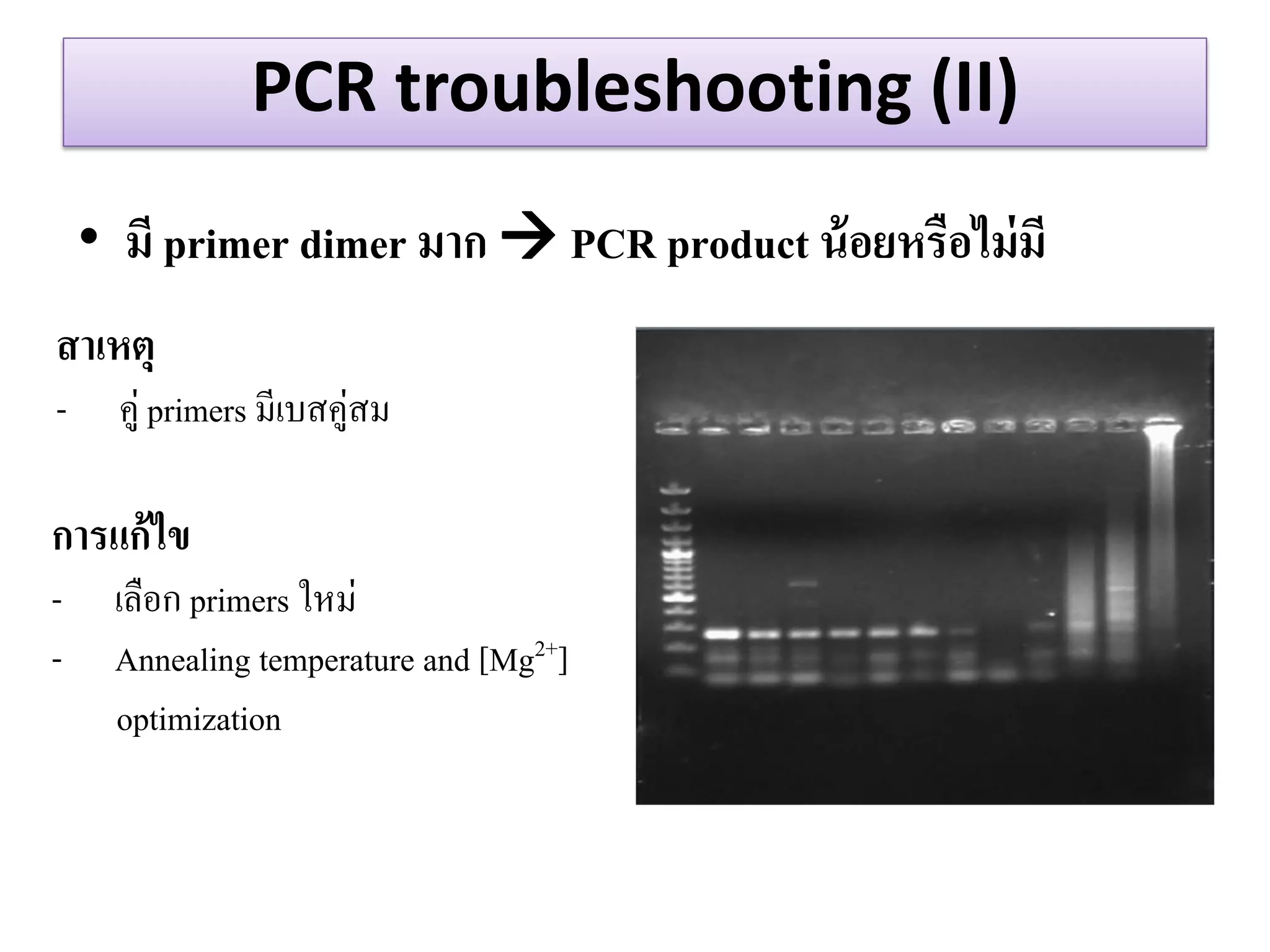 PCR troubleshooting (II) 
•มี primer dimer มำก  PCR product น้อยหรือไม่มี 
สำเหตุ 
-คู่ primers มีเบสคู่สม 
กำรแก้ไข 
-เลือก primers ใหม่ 
-Annealing temperature and [Mg2+] optimization  