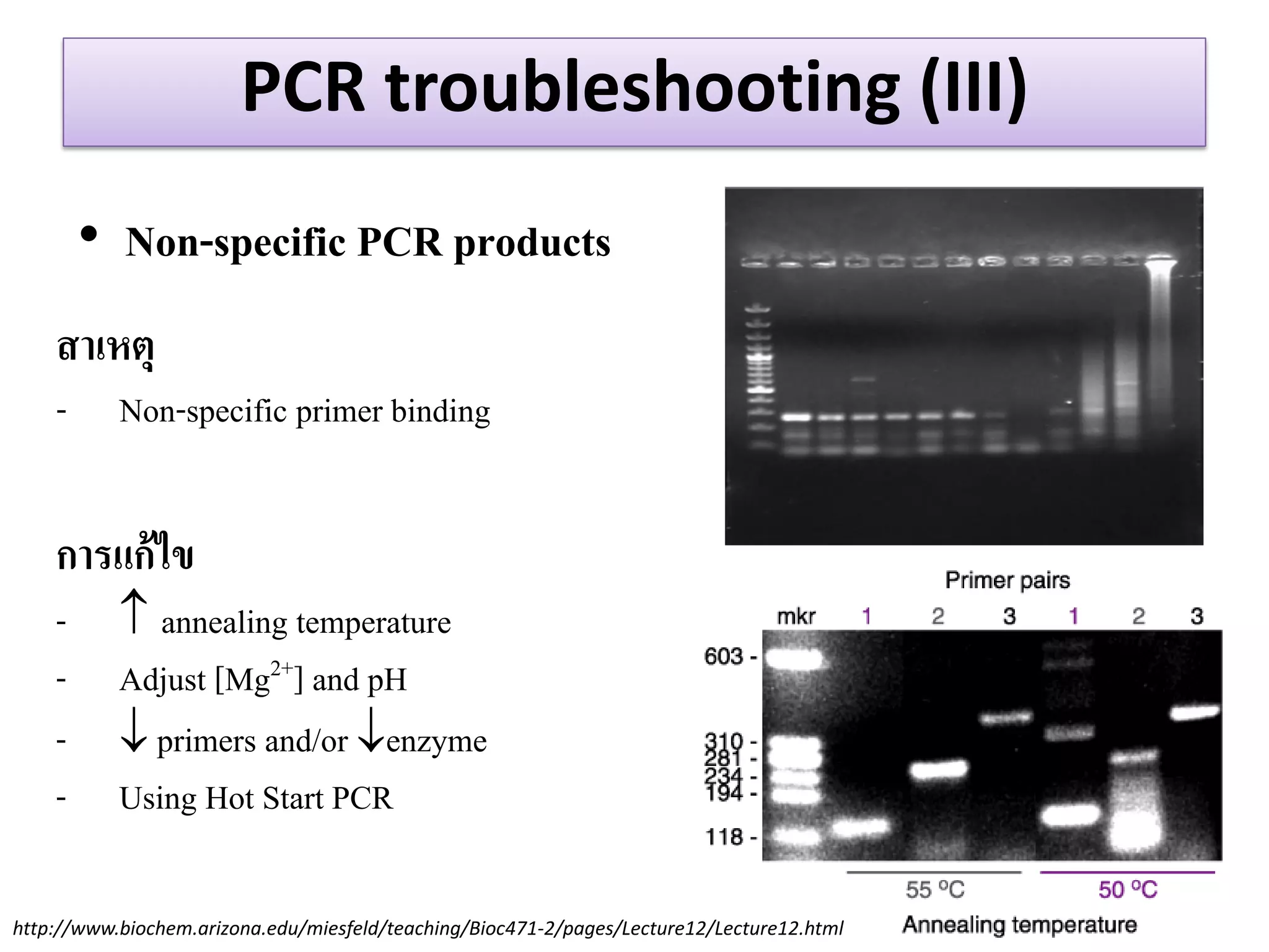 PCR troubleshooting (III) 
•Non-specific PCR products 
สำเหตุ 
-Non-specific primer binding 
กำรแก้ไข 
-annealing temperature 
-Adjust [Mg2+] and pH 
- primers and/or enzyme 
-Using Hot Start PCR 
http://www.biochem.arizona.edu/miesfeld/teaching/Bioc471-2/pages/Lecture12/Lecture12.html  