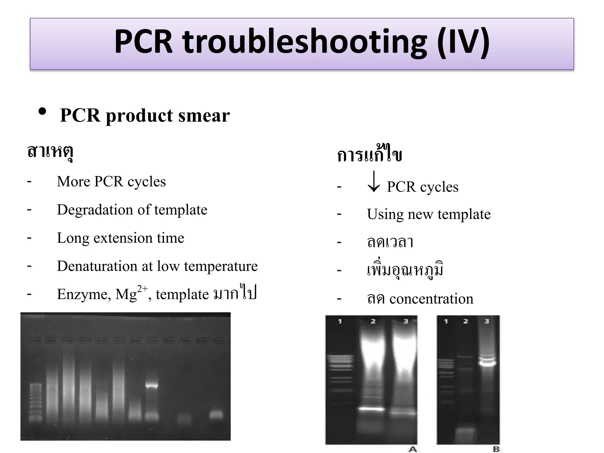 PCR troubleshooting (IV) 
•PCR product smear 
สำเหตุ 
-More PCR cycles 
-Degradation of template 
-Long extension time 
-Denaturation at low temperature 
-Enzyme, Mg2+, template มากไป 
กำรแก้ไข 
-PCR cycles 
-Using new template 
-ลดเวลา 
-เพิ่มอุณหภูมิ 
-ลด concentration  