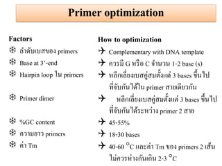 Primer optimization 
Factors 
ลาดับเบสของ primers 
Base at 3’-end 
Hairpin loop ใน primers 
Primer dimer 
%GC content 
ความยาว primers 
ค่า Tm 
How to optimization 
Complementary with DNA template 
ควรมี G หรือ C จานวน 1-2 base (s) 
หลีกเลี่ยงเบสคู่สมตั้งแต่ 3 bases ขึ้นไป ที่จับกันได้ใน primer สายเดียวกัน หลีกเลี่ยงเบสคู่สมตั้งแต่ 3 bases ขึ้นไป ที่จับกันได้ระหว่าง primer 2 สาย 
45-55% 
18-30 bases 
40-60 C และค่า Tm ของ primers 2 เส้น ไม่ควรห่างกันเกิน 2-3 C  