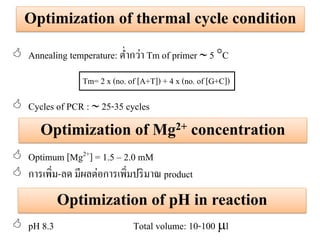 Optimization of thermal cycle condition 
Annealing temperature: ต่ากว่า Tm of primer  5 C 
Cycles of PCR :  25-35 cycles 
Optimum [Mg2+] = 1.5 – 2.0 mM 
การเพิ่ม-ลด มีผลต่อการเพิ่มปริมาณ product 
pH 8.3 Total volume: 10-100 l 
Tm= 2 x (no. of [A+T]) + 4 x (no. of [G+C]) 
Optimization of Mg2+ concentration 
Optimization of pH in reaction  