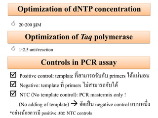 Optimization of dNTP concentration 
Optimization of Taq polymerase 
20-200 M 
1-2.5 unit/reaction 
Controls in PCR assay 
Positive control: template ที่สามารถจับกับ primers ได้แน่นอน 
Negative: template ที่ primers ไม่สามารถจับได้ 
NTC (No template control): PCR mastermix only ! (No adding of template)  จัดเป็น negative control แบบหนึ่ง *อย่างน้อยควรมี positive และ NTC controls  