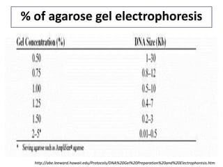 % of agarose gel electrophoresis 
http://abe.leeward.hawaii.edu/Protocols/DNA%20Gel%20Preparation%20and%20Electrophoresis.htm  