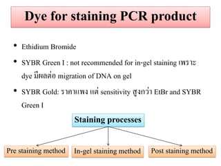 Dye for staining PCR product 
•Ethidium Bromide 
•SYBR Green I : not recommended for in-gel staining เพราะ dye มีผลต่อ migration of DNA on gel •SYBR Gold: ราคาแพง แต่ sensitivity สูงกว่า EtBr and SYBR Green I 
Staining processes 
Pre staining method 
Post staining method 
In-gel staining method  