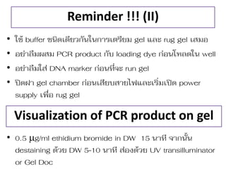 Reminder !!! (II) 
•ใช้ buffer ชนิดเดียวกันในกำรเตรียม gel และ rug gel เสมอ 
•อย่ำลืมผสม PCR product กับ loading dye ก่อนโหลดใน well 
•อย่ำลืมใส่ DNA marker ก่อนที จะ run gel 
•ปิดฝำ gel chamber ก่อนเสียบสำยไฟและเริ มเปิด power supply เพื อ rug gel 
•0.5 g/ml ethidium bromide in DW 15 นำที จำกนั้น destaining ด้วย DW 5-10 นำที ส่องด้วย UV transilluminator or Gel Doc 
Visualization of PCR product on gel  