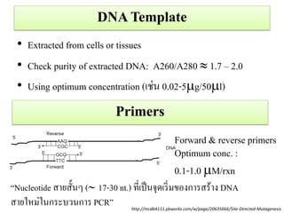 DNA Template 
•Extracted from cells or tissues 
•Check purity of extracted DNA: A260/A280  1.7 – 2.0 
•Using optimum concentration (เช่น 0.02-5g/50l) 
Primers 
http://mcdb4111.pbworks.com/w/page/20635666/Site-Directed-Mutagenesis 
Forward & reverse primers 
Optimum conc. : 
0.1-1.0 M/rxn 
“Nucleotide สายสั้นๆ (17-30 nt.) ที่เป็นจุดเริ่มของการสร้าง DNA 
สายใหม่ในกระบวนการ PCR”  