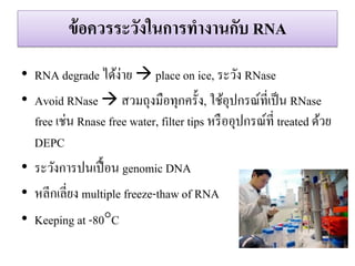 ข้อควรระวังในกำรทำงำนกับ RNA 
•RNA degrade ได้ง่าย  place on ice, ระวัง RNase •Avoid RNase  สวมถุงมือทุกครั้ง, ใช้อุปกรณ์ที่เป็น RNase free เช่น Rnase free water, filter tips หรืออุปกรณ์ที่ treated ด้วย DEPC 
•ระวังการปนเปื้อน genomic DNA 
•หลีกเลี่ยง multiple freeze-thaw of RNA 
•Keeping at -80C  