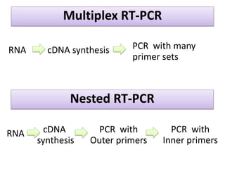 Multiplex RT-PCR 
Nested RT-PCR 
RNA 
cDNA synthesis 
PCR with many primer sets 
RNA 
cDNA 
synthesis 
PCR with Outer primers 
PCR with 
Inner primers  