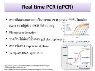 Real time PCR (qPCR) 
•ตรวจติดตามและบอกปริมาณของ PCR product ที่เพิ่มในแต่ละ cycle ของปฏิกิริยา PCR ที่ดาเนินอยู่ 
•Fluorescent detection 
•รวดเร็ว ไม่ต้องมีขั้นตอน gel electrophoresis 
•ตรวจวัดช่วง Exponential phase 
•Template RNA: qRT-PCR 
http://www.ncbi.nlm.nih.gov/projects/genome/probe/doc/TechQPCR.shtml 
http://www.5prime.com/media/438079/wide%20dynamic%20range% 20and%20high%20sensitivity.jpg  