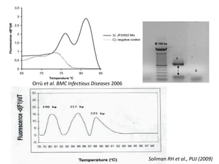 Soliman RH et al., PUJ (2009) 
Orrù et al. BMC Infectious Diseases 2006  