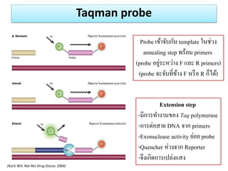 Taqman probe 
(Koch WH, Nat Rev Drug Discov. 2004) 
Probe เข้าจับกับ template ในช่วง 
annealing step พร้อม primers 
(probe อยู่ระหว่าง F และ R primers) 
(probe จะจับที่ข้าง F หรือ R ก็ได้) 
Extension step -มีการทางานของ Taq polymerase -การต่อสาย DNA จาก primers -Exonuclease activity ย่อย probe -Quencher ห่างจาก Reporter -จึงเกิดการเปล่งแสง  