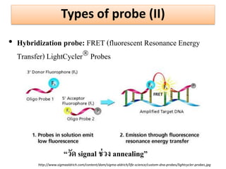 Types of probe (II) 
•Hybridization probe: FRET (fluorescent Resonance Energy Transfer) LightCycler Probes 
http://www.sigmaaldrich.com/content/dam/sigma-aldrich/life-science/custom-dna-probes/lightcycler-probes.jpg 
“วัด signal ช่วง annealing”  