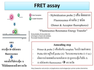 FRET assay 
http://www.bio-rad.com/en-cm/applications-technologies/pcr-primer-probe-chemistries 
- Hybridization probe 2 เส้น ติดฉลาก 
Fluorescence ต่างกัน 2 ชนิด 
(Donor & Acceptor fluorophores) 
Annealing step 
-Primer & probe 2 เส้นจับกับ template ในบริเวณจาเพาะ 
-Probe (D) อยู่ใกล้ probe (A) ในระยะเหมาะสม (1-5 nt.) 
-เกิดการถ่ายเทพลังงานหลังจาก D ถูกกระตุ้นไปยัง A 
-A เปล่งแสง fluorescence  ตรวจวัด 
แสง 
กระตุ้น D เปล่งแสง fluorescence 
แสงนั้นไปกระตุ้น A 
ให้ปล่อยแสงแล้วตรวจวัด 
“Fluorescence Resonance Energy Transfer”  
