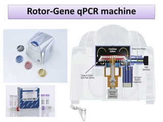 Rotor-Gene qPCR machine  
