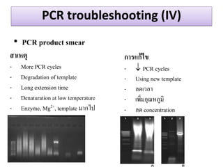 PCR troubleshooting (IV) 
•PCR product smear 
สำเหตุ 
-More PCR cycles 
-Degradation of template 
-Long extension time 
-Denaturation at low temperature 
-Enzyme, Mg2+, template มากไป 
กำรแก้ไข 
-PCR cycles 
-Using new template 
-ลดเวลา 
-เพิ่มอุณหภูมิ 
-ลด concentration  