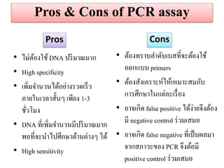 Pros & Cons of PCR assay 
•ไม่ต้องใช้ DNA ปริมาณมาก 
•High specificity 
•เพิ่มจานวนได้อย่างรวดเร็ว ภายในเวลาสั้นๆ เพียง 1-3 ชั่วโมง •DNA ที่เพิ่มจานวนมีปริมาณมาก พอที่จะนาไปศึกษาด้านต่างๆ ได้ 
•High sensitivity 
•ต้องทราบลาดับเบสที่จะต้องใช้ ออกแบบ primers 
•ต้องสังเคราะห์ให้เหมาะสมกับ การศึกษาในแต่ละเรื่อง •อาจเกิด false positive ได้ง่ายจึงต้อง มี negative control ร่วมเสมอ •อาจเกิด false negative ที่เป็นผลมา จากสภาวะของ PCR จึงต้อมี positive control ร่วมเสมอ 
Pros 
Cons  