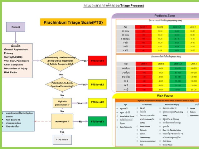 Principle Of Prachinburi Triage Scale(Pts) | PDF