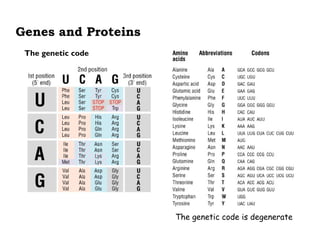 Principle of protein structure and function | PPT