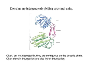 Principle of protein structure and function | PPT