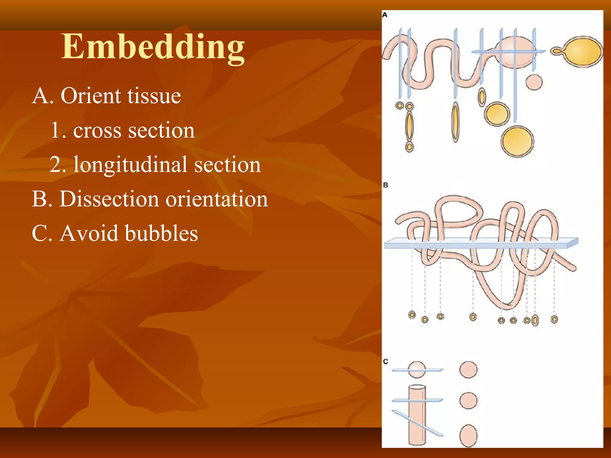 Embedding
A. Orient tissue
1. cross section
2. longitudinal section
B. Dissection orientation
C. Avoid bubbles
 