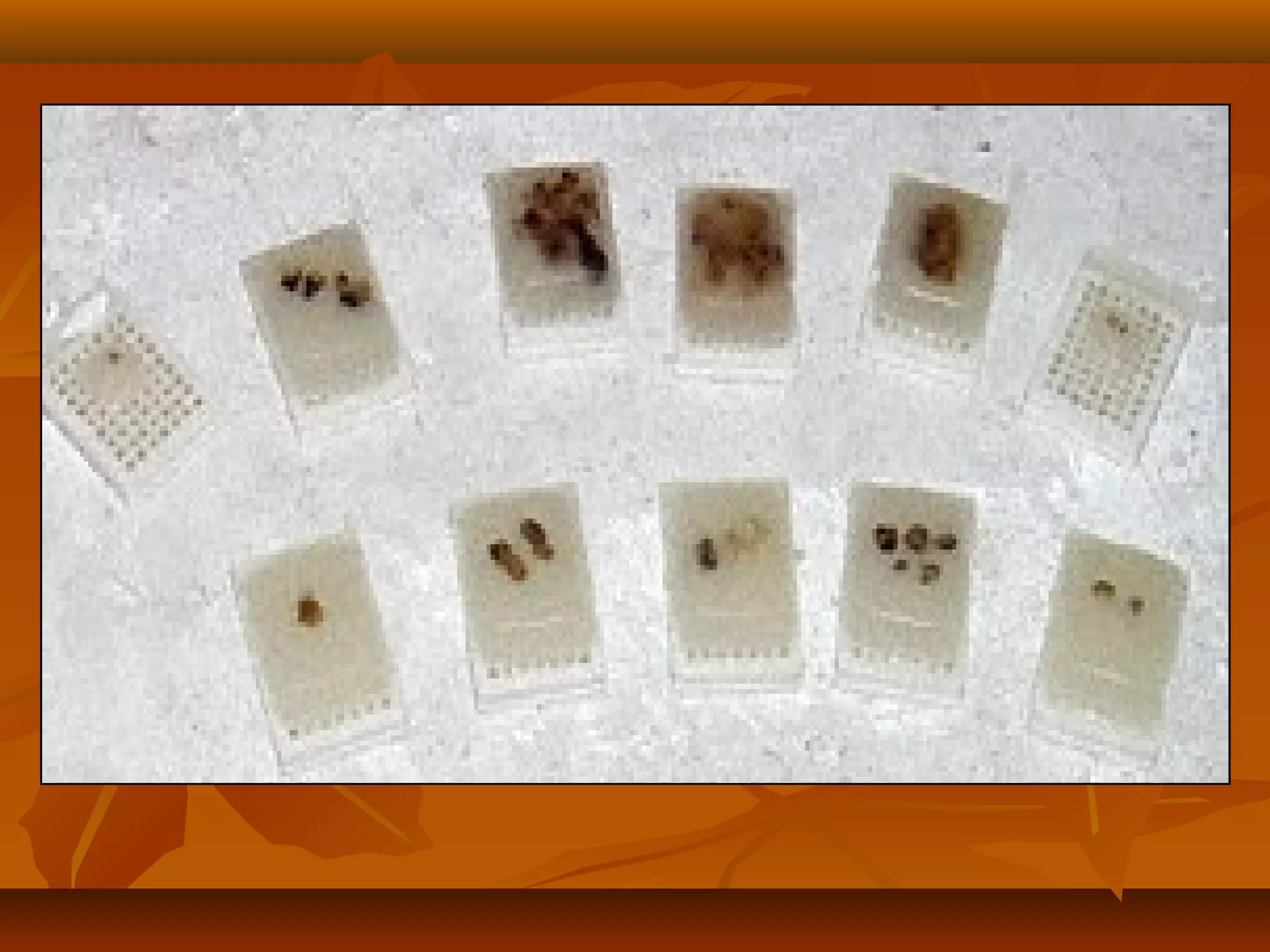 Principle of tissue processing