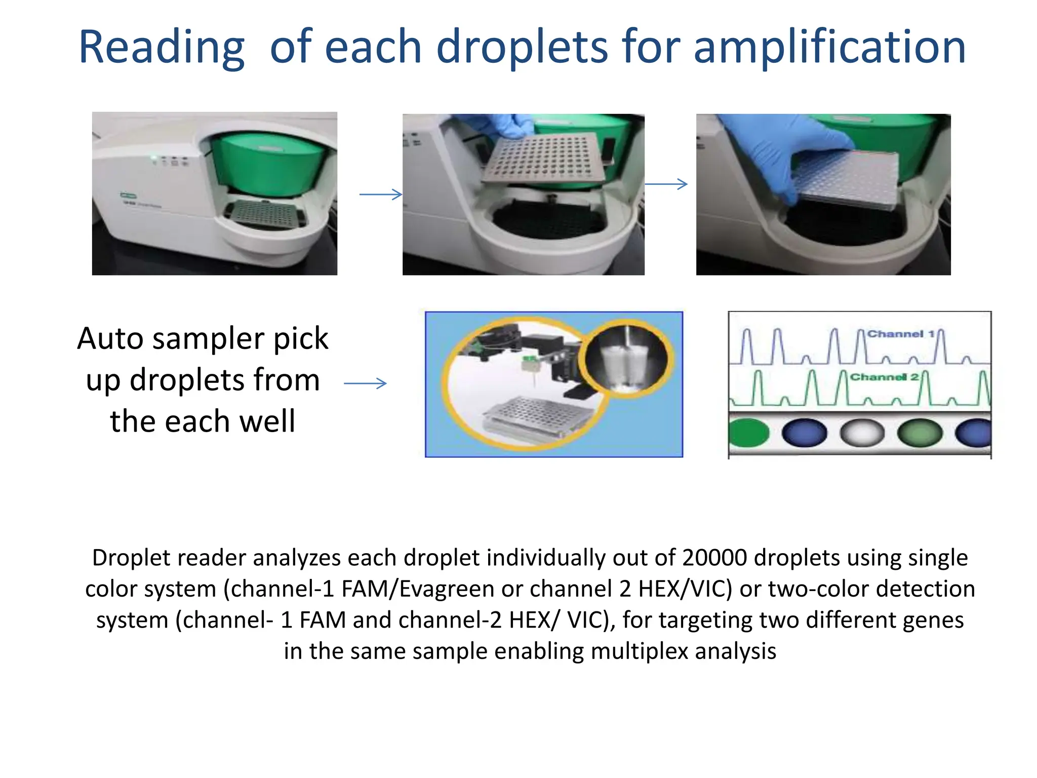 Principle, Procedure and applications of Digital PCR.pptx