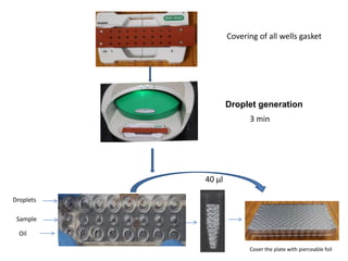 Principle, Procedure and applications of Digital PCR.pptx