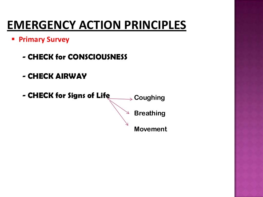 Principles of First Aid Edith