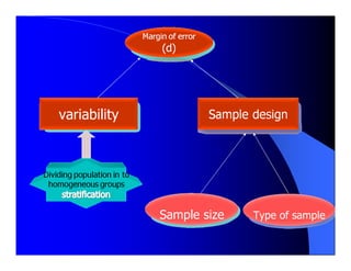 Statistical  Analysis Steps