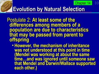 Principles Evolution APBioCh13-14 | PPT