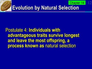 Principles Evolution APBioCh13-14 | PPT