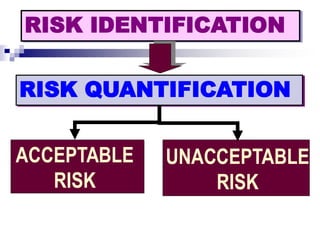 Principles-of-Accident-Prevention.ppt-1.pdf