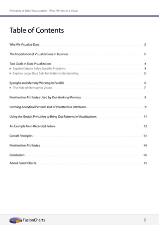Table of Contents
Why We Visualize Data .....................................................................................