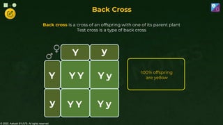 © 2022, Aakash BYJU'S. All rights reserved
Back Cross
Back cross is a cross of an offspring with one of its parent plant
Test cross is a type of back cross
y
Y y
Y Y
Y y
Y
Y
Y y
Y
100% offspring
are yellow
 