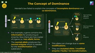 © 2022, Aakash BYJU'S. All rights reserved
The Concept of Dominance
Substrate
Enzyme
+
substrate
Enzyme –
substrate
complex
Enzyme -
product
complex
Enzyme +
product
Product
Mendel’s law failed to explain the concepts of incomplete dominance and
co-dominance.
● For example, a gene contains the
information for producing an
enzyme. Now there are two copies
of a gene i.e., two allelic forms.
● The normal allele produces the
normal enzyme which is needed
for the transformation of a
substrate S.
● This allele can change due to some
modifications.
● They are mutated allele / modified
enzyme / faulty / no transformation.
Substrate
Substrate
Enzyme +
Substrate
Enzyme -
Substrate
Complex
Enzyme
+Product
Enzyme
+Product
Normal/ less
efficient
enzyme
Non-functional
enzyme
No
enzyme
 