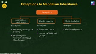 © 2022, Aakash BYJU'S. All rights reserved
Exceptions to Mendelian Inheritance
Incomplete
dominance
Exceptions
Multiple alleles
Co-dominance
Examples:
• Mirabilis jalapa (Four
o’clock)
• Snapdragon /
Antirrhinum majus
(Dog flower)
Examples:
• Shorthorn cattle
• Human ABO blood
groups
Example:
• ABO blood groups
 