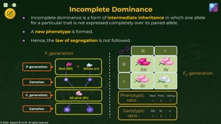 © 2022, Aakash BYJU'S. All rights reserved
Incomplete Dominance
P generation:
Gametes:
F1 generation:
r
R
Red (RR) White (rr)
X
All pink (Rr)
Gametes: r
R
F1 generation
● Incomplete dominance is a form of intermediate inheritance in which one allele
for a particular trait is not expressed completely over its paired allele.
● A new phenotype is formed.
● Hence, the law of segregation is not followed.
r
R r
R
RR Rr
Rr rr
Genotypic
ratio -
Phenotypic
ratio -
White
2
Red
1
1
:
:
Pink :
:
rr
2
RR
1
1
:
:
Rr :
:
F2 generation
 
