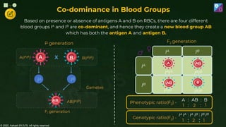 © 2022, Aakash BYJU'S. All rights reserved
IB
IA IB
IA
IAIA
Genotypic ratio(F2) -
IB IB
2
IA IA
1
1
IAIB
IAIB
IBIB
:
:
IA IB :
:
Phenotypic ratio(F2) -
B
2
A
1
1
:
:
AB :
:
A(IAIA) B(IBIB)
X
A B
IA IB
AB(IAIB)
AB
F1 generation
Gametes
P generation F2 generation
Co-dominance in Blood Groups
Based on presence or absence of antigens A and B on RBCs, there are four different
blood groups IA and IB are co-dominant, and hence they create a new blood group AB
which has both the antigen A and antigen B.
 
