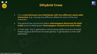 © 2022, Aakash BYJU'S. All rights reserved
● It is a cross between two individuals with two different observable
characters. E.g., Having two different alleles for each of the two
character.
● The parents are round and yellow (homozygous dominant for both
traits) and wrinkled green (homozygous recessive for both traits).
● In that case, the F1 generation will produce yellow and round seeds
(heterozygous dominant for both genes). F1 generation is then self-
pollinated.
Dihybrid Cross
 