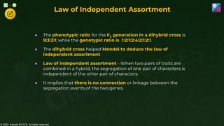 © 2022, Aakash BYJU'S. All rights reserved
Law of Independent Assortment
● The phenotypic ratio for the F2 generation in a dihybrid cross is
9:3:3:1; while the genotypic ratio is 1:2:1:2:4:2:1:2:1.
● The dihybrid cross helped Mendel to deduce the law of
independent assortment.
● Law of independent assortment - When two pairs of traits are
combined in a hybrid, the segregation of one pair of characters is
independent of the other pair of characters.
● It implies that there is no connection or linkage between the
segregation events of the two genes.
 